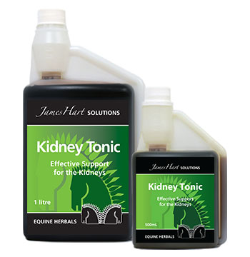 Kidney Tonic